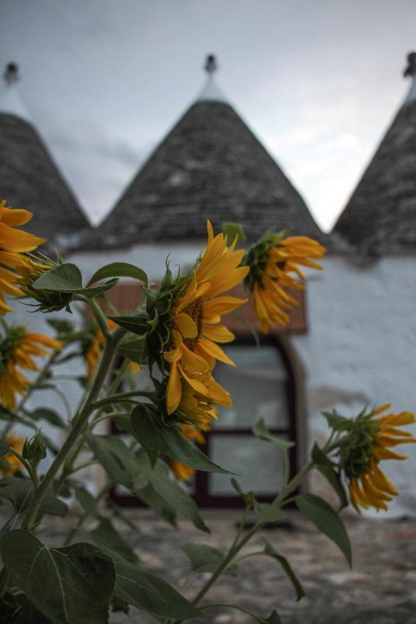 Masseria Ferri Ostuni Exteriör bild