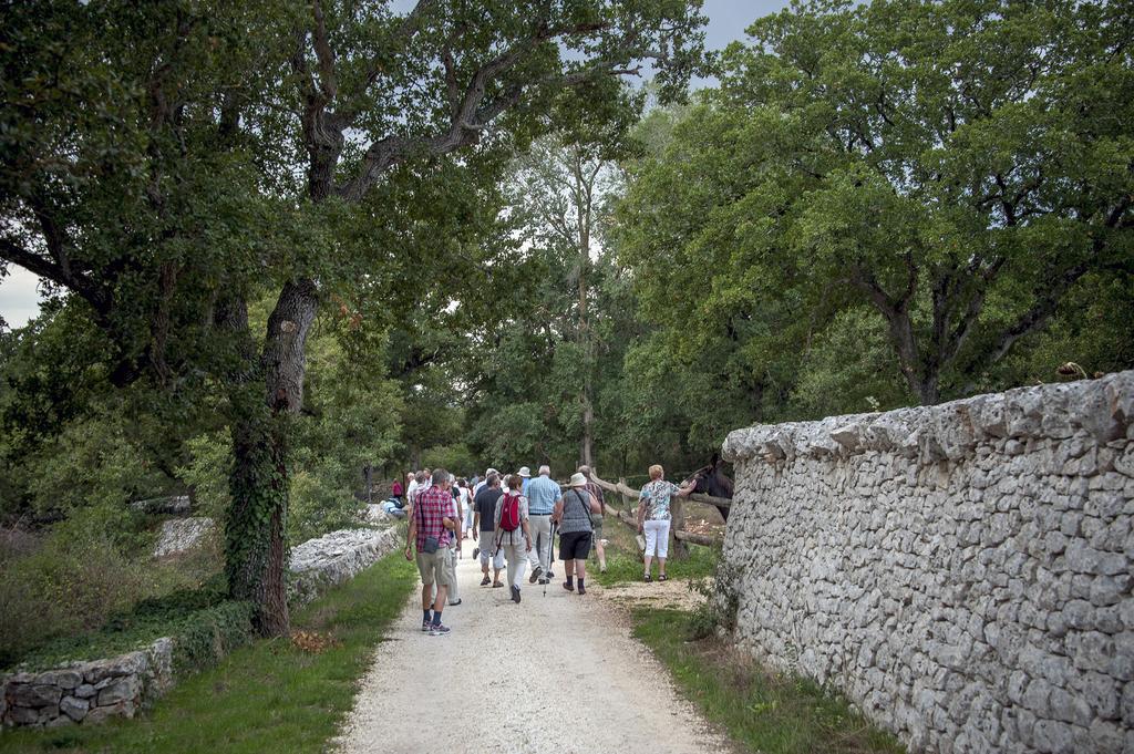 Masseria Ferri Ostuni Exteriör bild
