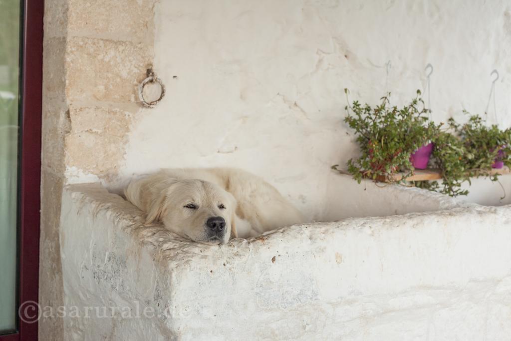 Masseria Ferri Ostuni Exteriör bild